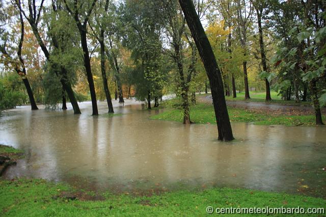 109.jpg - Parco Lambro (MI). 1 Novembre. Esondazione del fiume Lambro. (Matteo Pillitteri)