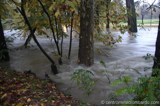 110.jpg - Parco Lambro (MI). 1 Novembre. Esondazione del fiume Lambro. (Matteo Pillitteri)