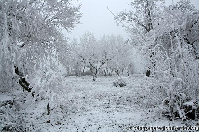 26.jpg - 19 Gennaio 2012, Pievidizio di Mairano (BS). Sembra che abbia nevicato! (Nassa Claudio)