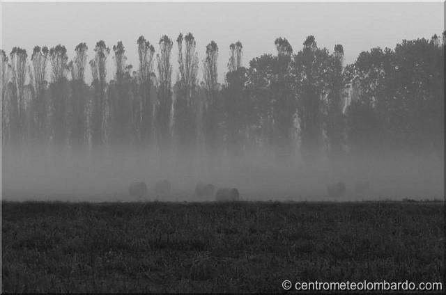 18.jpg - Crema (CR). Foschie mattutine. (Stefano Begotti)