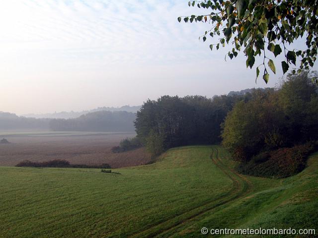 24.jpg - Alzate Brianza (CO). La campagna della brughiera brianzola in una giornata di autunnale con foschia (Giuseppe Aceti)