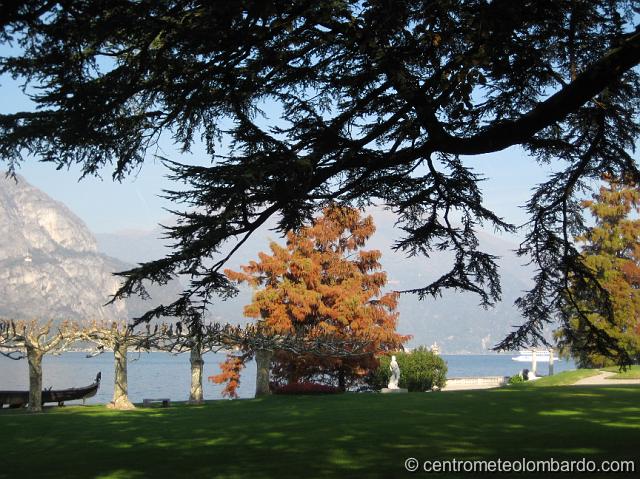 25.jpg - Bellagio (CO). Giardini di Villa Melzi. (Dania Ghilardi)