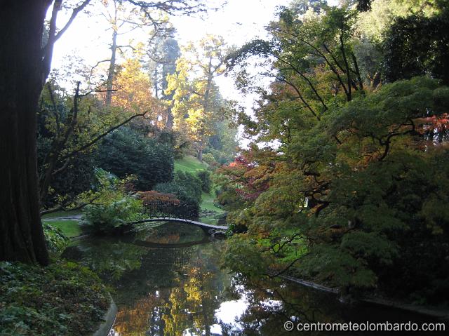 26.jpg - Bellagio (CO). Giardini di Villa Melzi. (Dania Ghilardi)