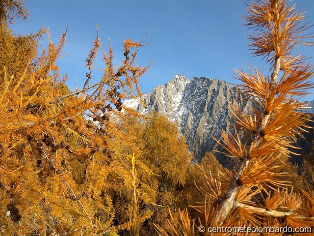 28.jpg - Malga Stain (BS). Punta Adami. (Gian Luca Santoro)