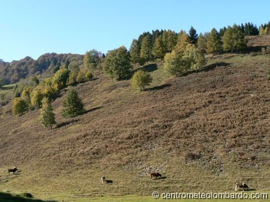 29.jpg - Alpe Grande (CO). Valle Intelvi. (Azzi Andrrea)