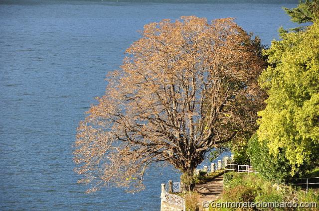 30.JPG - Careno fraz. di Nesso (Co). (Renato Cittadino)