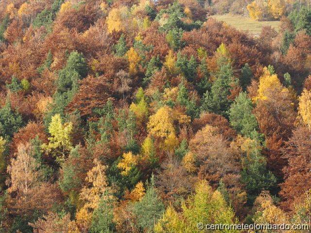 31.JPG - Albaredo (SO). Autunno nella Valle del Bitto. (Renato Cittadino)