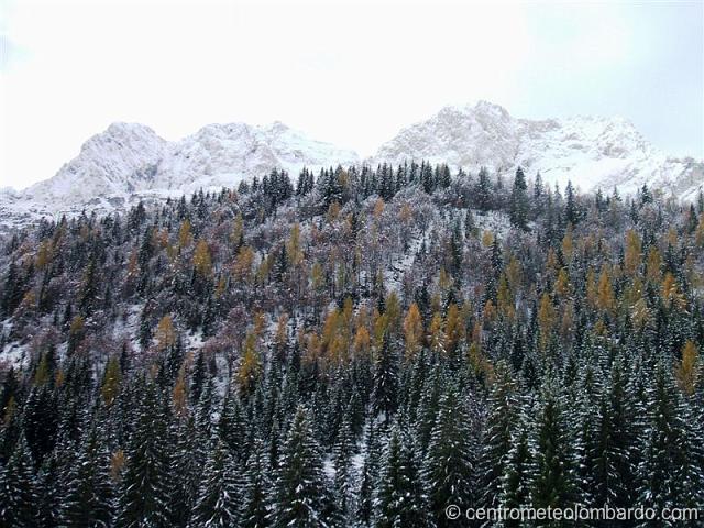 8.JPG - Zona rifugio Alpecorte (BG). 7 Novembre, prima nevicata della stagione. (Bruno Santinelli)