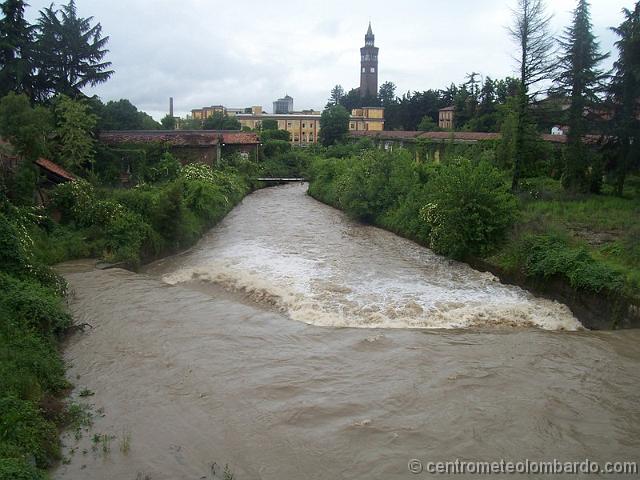 foto12.jpg - Cerro Maggiore (VA), 18 Maggio ore 10. Fiume Olona. Foto di Marco.