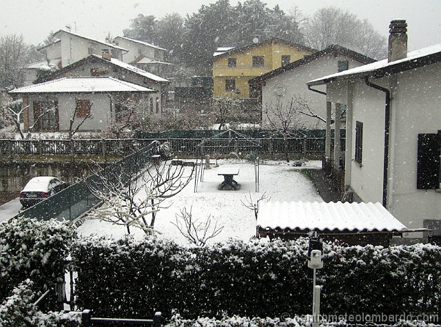 13.jpg - Domenica, ore 10.30. Alzate Brianza (CO). Forte nevicata per tutta la mattinata, accumulo finale 3,5cm. Foto di Giuseppe Aceti.