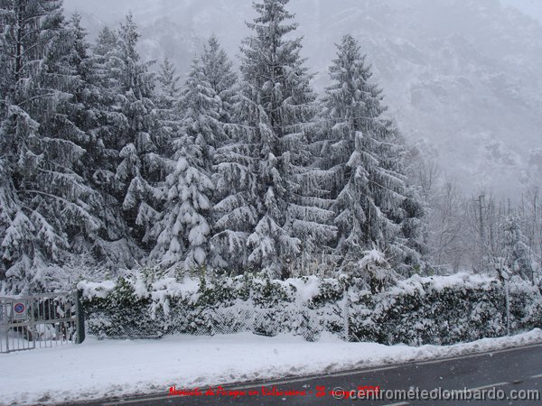 22.jpg - Domenica, ore 13. Moggio (LC), 900m. Foto di Matteo Polato.