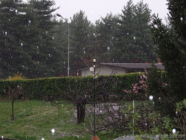 23.jpg - Domenica, ore 9. Barlassina (MI). Rovescio di Graupel e neve tonda. Foto di Marco Burato.