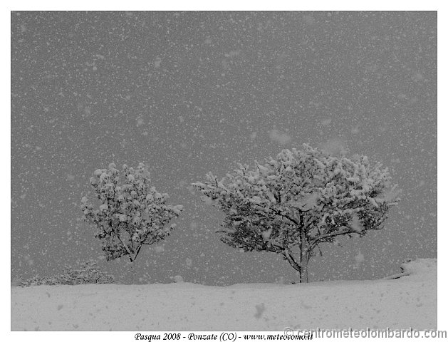 3.jpg - Domenica mattina. Ponzate (CO). Neve copiosa a larghe falde. Foto di Gabriele Asnaghi (meteocomo.it)