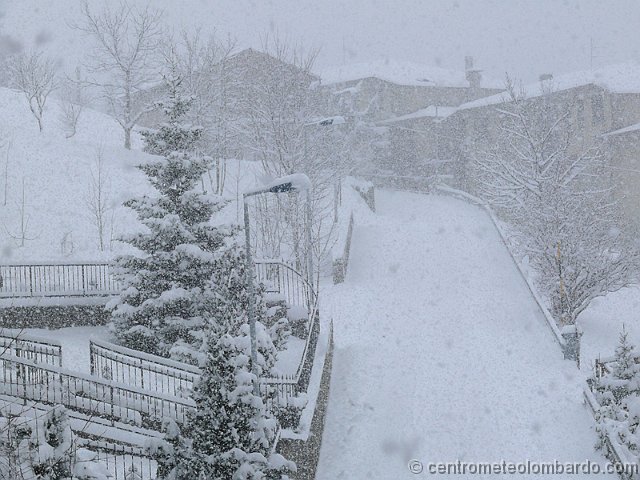 32.jpg - Domenica. Zambla (BG). Splendida nevicata che ha accumulato in totale 18 cm. Fenomeni durati dalle h.8 fino alle 18, con maggiore intensità dalle h.10,30 alle 11. Foto di Maurizio Andreozzi.