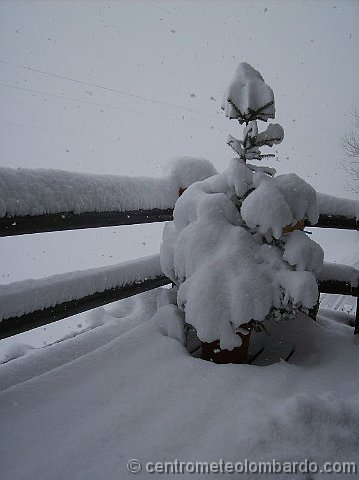 37.jpg - Domenica. Rasura (SO), 910m. Foto di Virgilio Rava.