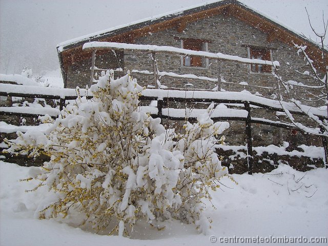 39.jpg - Domenica. Rasura (SO), 910m. Foto di Virgilio Rava.