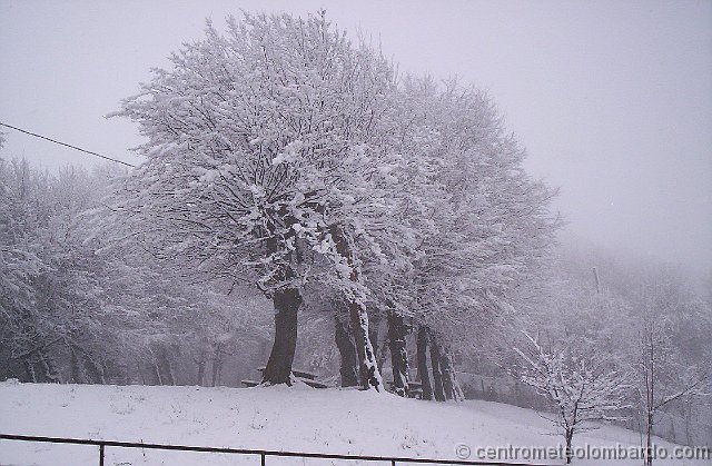 40.jpg - Domenica, h.11. Colline sopra Albino (BG), in Bassa Valle Seriana, alla quota di 500-600 metri. Neve al suolo 15-18cm. Foto di Daniele Forcella.