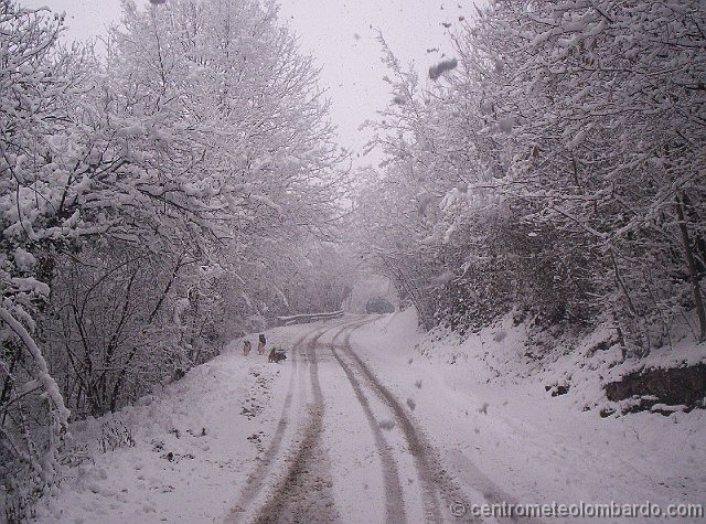 41.jpg - Domenica, h.11. Colline sopra Albino (BG), in Bassa Valle Seriana, alla quota di 500-600 metri. Neve al suolo 15-18cm. Foto di Daniele Forcella.