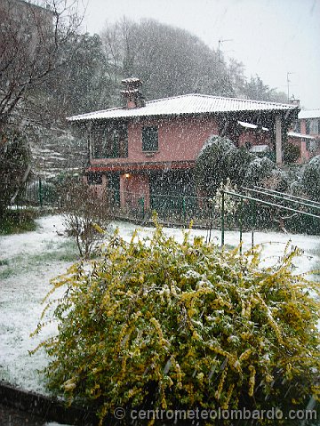 44.jpg - Domenica mattina. Caslino d'Erba (CO). La nevicata porterà in paese quasi 5 cm di neve. Foto di Alberto Hevia Aza Crespo.