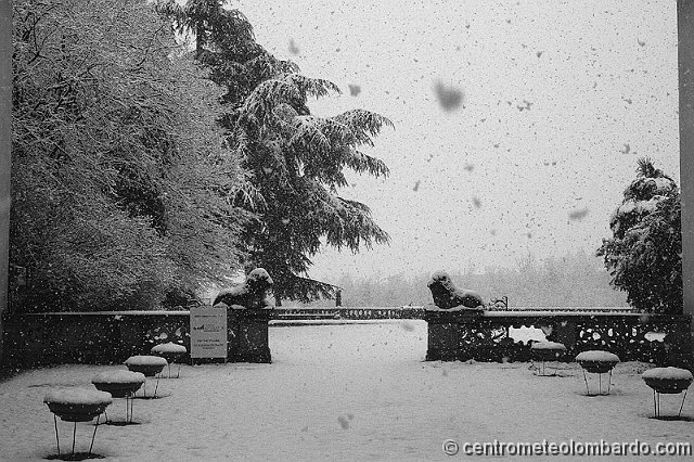 12.jpg - 4 Gennaio, ore 9.30. Parco di Villa Miani a Galgiana di Casatenovo (LC). Nevicata nel momento di massima intensità. Foto di Bruno Grillini.