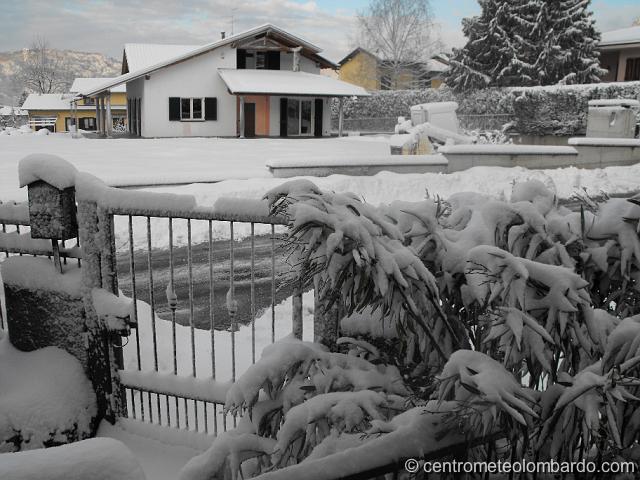 33.JPG - Cugliate Fabiasco (VA), mattino. Foto scatta a nevicata terminata, il termometro segnava -2°c. L'accumulo finale è stato di 25cm. (Celestino)