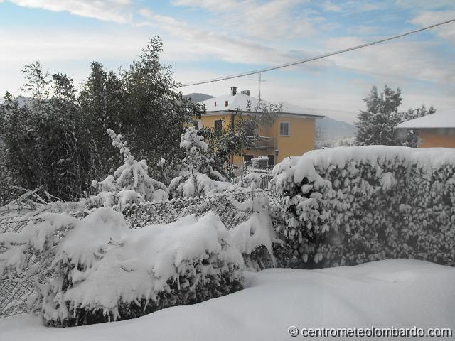 34.JPG - Cugliate Fabiasco (VA), mattino. Foto scatta a nevicata terminata, il termometro segnava -2°c. L'accumulo finale è stato di 25cm. (Celestino)