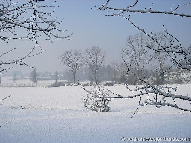 14.JPG - Paladina (BG), mattina. Al suolo 8 cm di neve caduti tra la sera del 31 e la notte del primo Gennaio. (Fabio Micheletti)