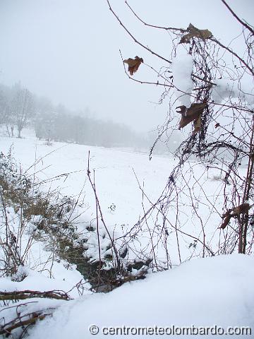 5.JPG - Monzanbano. 2 Gennaio, pomeriggio. Il manto nevoso compattato misurava circa 12 cm,  dopo una massima altezza di 19 cm raggiunta alle 9  del 1 genneio. (Tatiana Stefanoni e Igor Pratti)