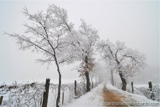 9.jpg - Padenghe sul Garda (BS). 1 Gennaio, ore 15. (Massimo Saviola)