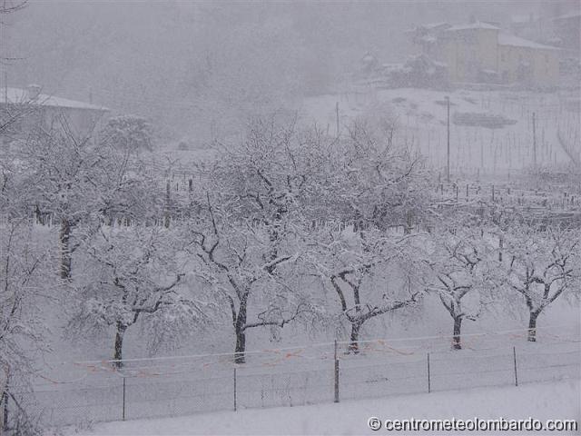 28.JPG - Mezzovico (CH). Intensa nevicata con manto nevoso prossimo ai 10 cm. (Stefano Vincenzi)
