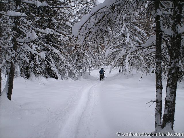 14.JPG - Alpe Poverzone (SO). 6 Dicembre, ore 13.00. Passeggiata nel bosco. (Ivan Giudice)