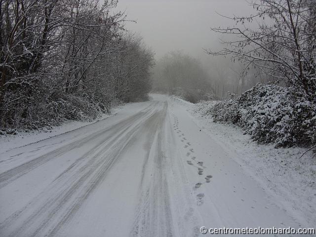 39.JPG - Legnano (MI). 19 Dicembre, ore 10. Via per San Vittore Olona innevata. (Marco Zaffaroni)