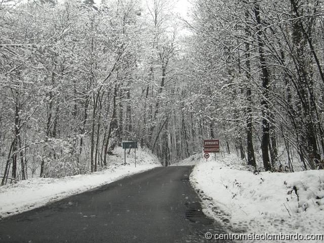 1.jpg - Vergiate (VA). 10 Marzo, ore 13.30. Stradine di bosco innevate. (Monica Bresciani)