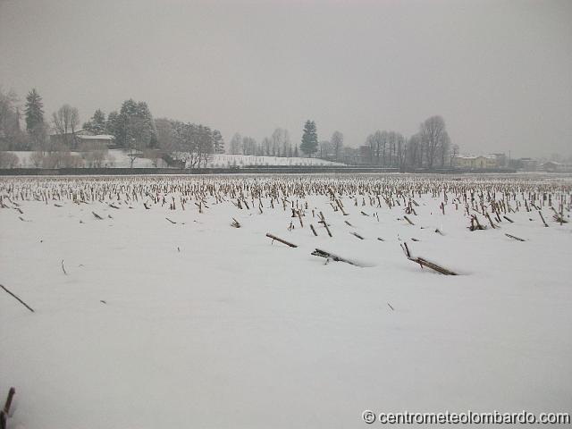 21.JPG - Uggiate Trevano, 10 marzo, ore 17.30. Nevicata moderata. (Silvia Marini)
