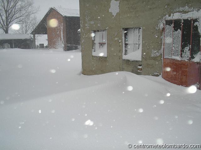 3.JPG - Pontecurone (AL). 10 Marzo, ore 9. (Sergio Franzosi)