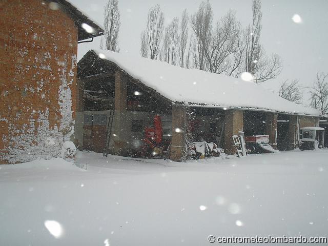 4.JPG - Pontecurone (AL). 10 Marzo, ore 9. (Sergio Franzosi)