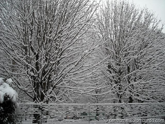 6.JPG - Bregnano (Como). 10 Marzo, ore 10. Parchetto Pozzi. (Giovanni Volonterio)