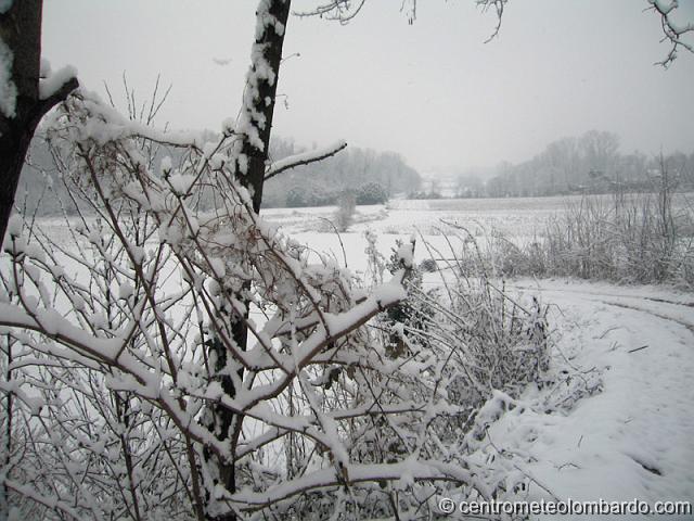 8.jpg - Alzate Brianza (CO). 10 Marzo, ore 8. Brughiera brianzola innevata. (Giuseppe Aceti)