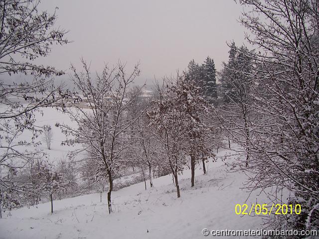 15.JPG - Briona (NO) Ore 8.15. Veduta collinare di Briona innevata, in seguito ai 7 cm caduti nella notte. (Luca Dal Bello)