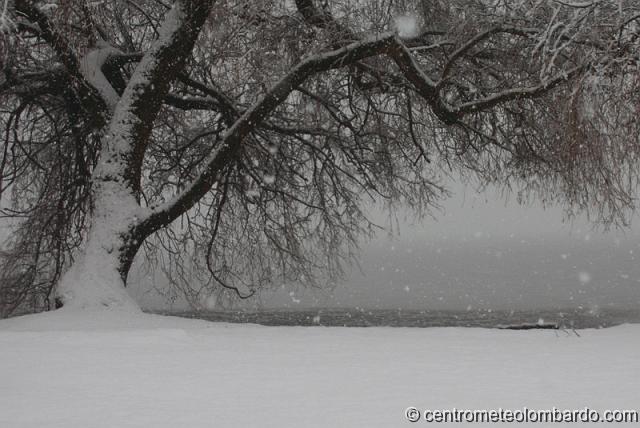 24.JPG - Schiranna, Lago di Varese. Ore 14. Forte intensità e lago semi-ghiacciato. (Alessio Panarella)