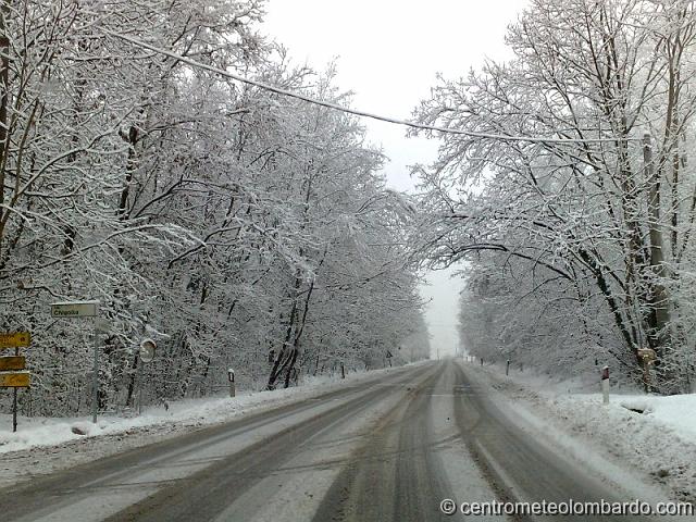 1.jpg - Capiago Intimiano (CO). 6 dicembre, ore 10.20. Neve su alberi e anche sul manto stradale in direzione Capiago. (Meroni Andrea)