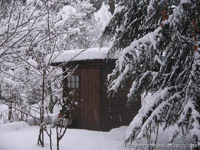 17.jpg - Sondrio (SO). 6 dicembre, ore 14:00. Nevicava ancora (10 cm il 5, 5.5 cm il 6) e al suolo, con neve vecchia, erano presenti circa 30 cm. (Pozzoni Fabio)