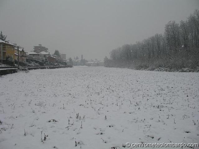 20.JPG - Venegono Inferiore (VA). 1 dicembre, ore 11:00. Prato Castello durante la nevicata. (Matteo Tacconi)