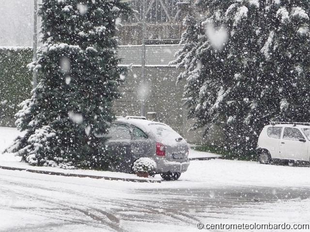 22.jpg - Lentate sul Seveso (MB), 1 dicembre, ore 9.35. Nevicata di moderata/forte intensità, attacca ovunque nonostante la temperatura leggermente positiva. (Marco Burato)