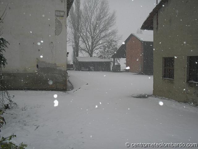 28.JPG - Pontecurone (AL). 28 novembre, ore 14. Massima intensità della nevicata. (Sergio Franzosi)