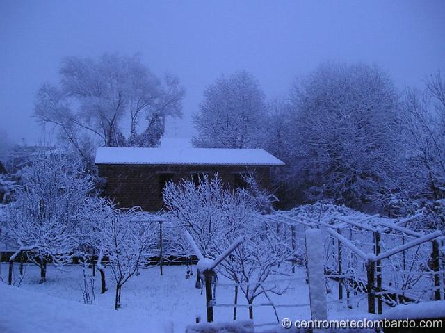 34.jpg - Villa d'Adda. 1 dicembre, ore 8. Scarse nevicate fin verso le 6, con circa 3 cm di neve fresca. Successivamente la nevicata non fa che intensificare. Alle 10 di mattina misuravo 18 cm. (Simone Fiorendo)