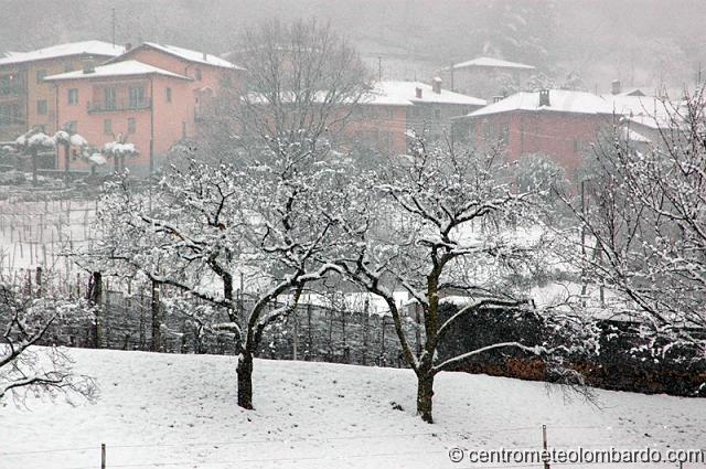 5.JPG - Mezzovico (Svizzera). 1 dicembre, ore 10.45. Momento di massima intensità della nevicata. (Stefano Vincenzi)