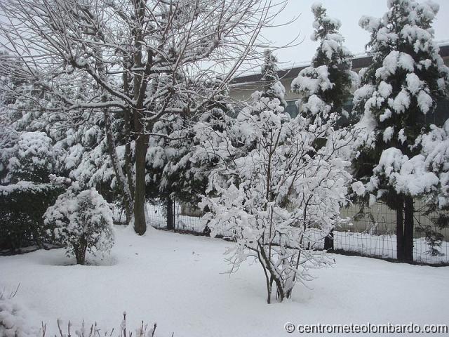 8.jpg - Casnate (CO). 6 dicembre. La nevicata a metà mattina, caduti 2.5 cm il giorno 5 ed altri 8 cm il giorno 6 per un totale di 10.5 cm. (Carlo Roncoroni)